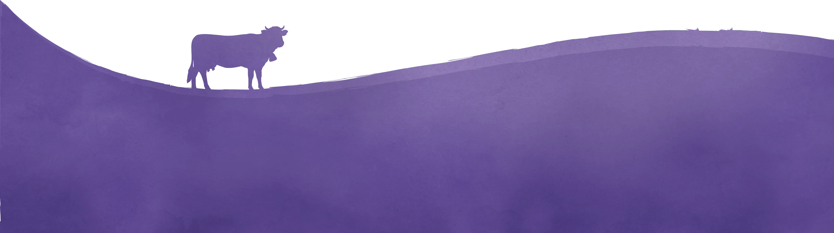 Footer background